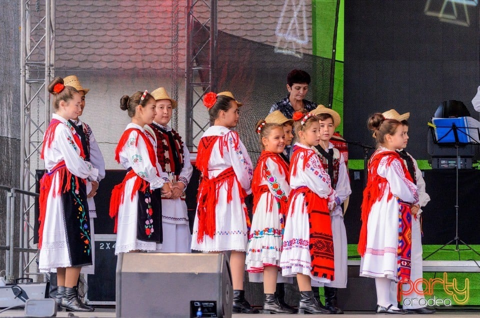 Spectacol de tradiţii folclorice interetnice, Cetatea Oradea