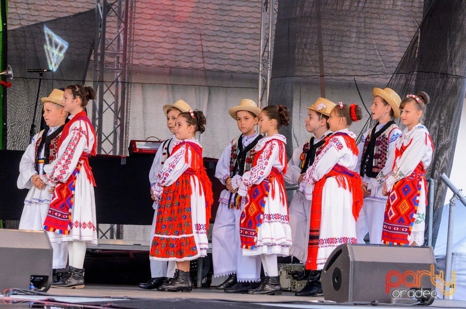 Spectacol de tradiţii folclorice interetnice, Cetatea Oradea