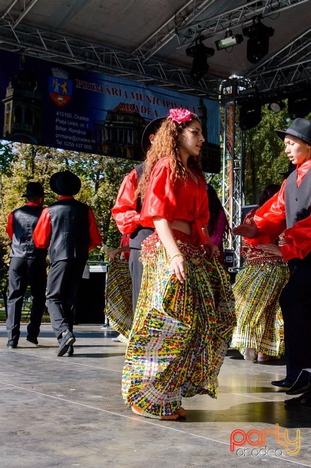 Spectacol de tradiţii folclorice, Oradea