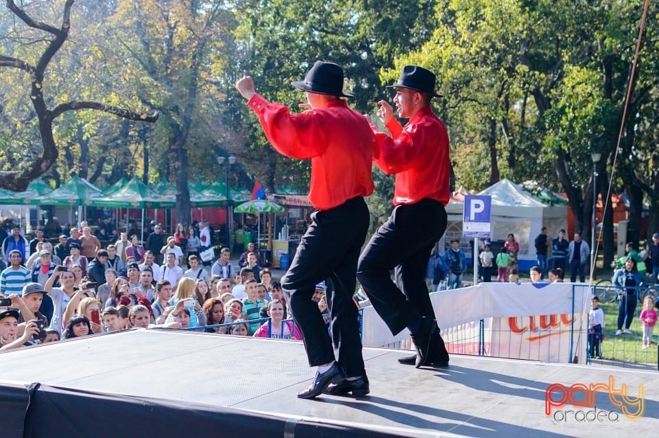 Spectacol de tradiţii folclorice, Oradea