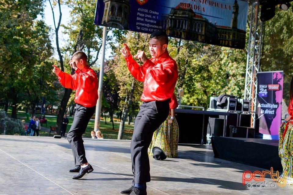 Spectacol de tradiţii folclorice, Oradea