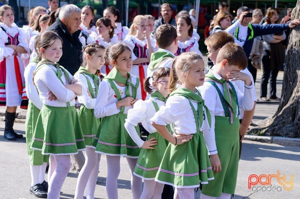 Spectacol de tradiţii folclorice, Oradea