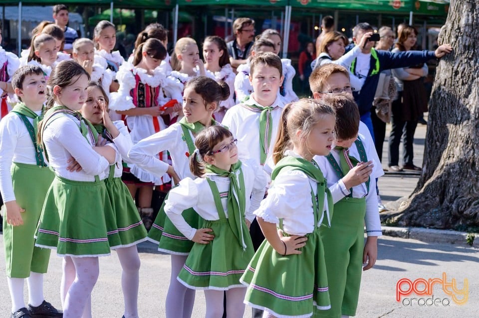 Spectacol de tradiţii folclorice, Oradea