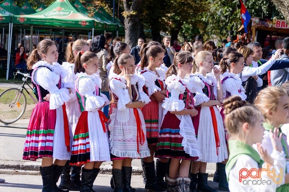 Spectacol de tradiţii folclorice, Oradea