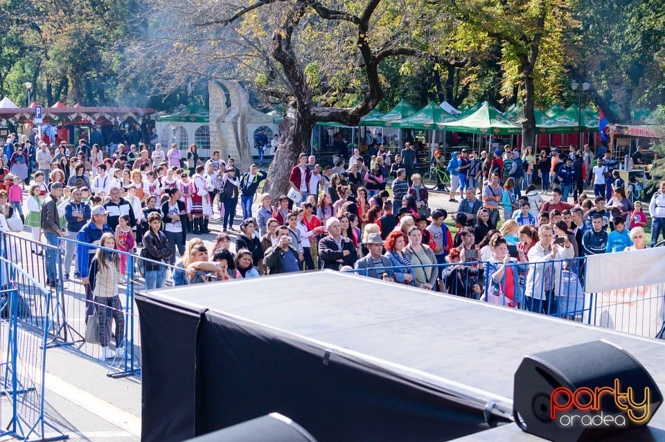 Spectacol de tradiţii folclorice, Oradea