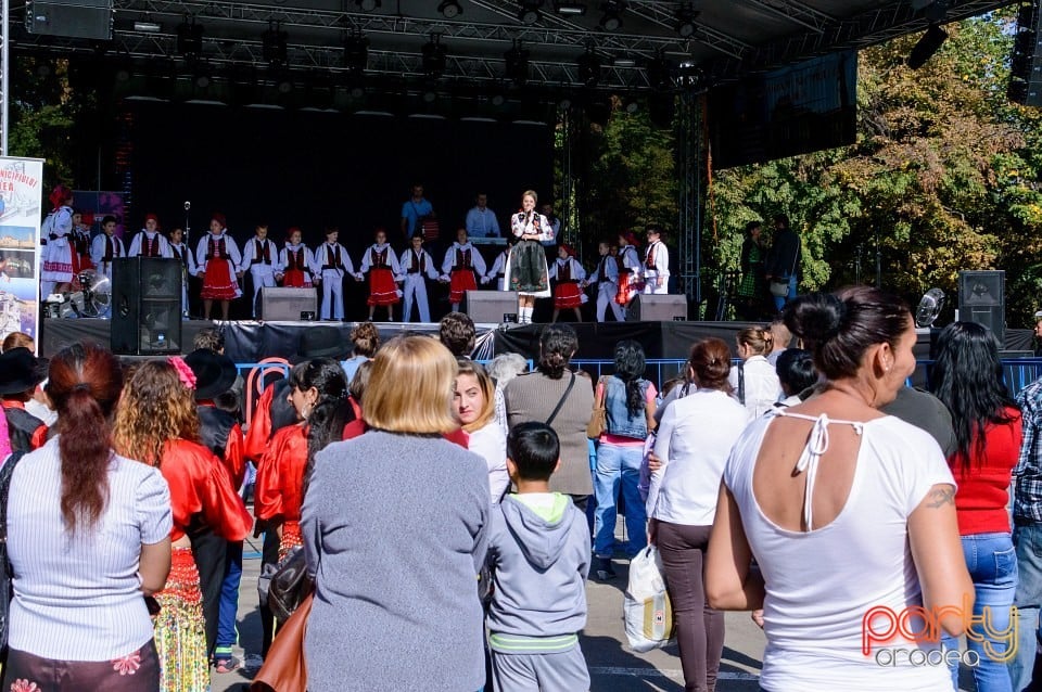 Spectacol de tradiţii folclorice, Oradea