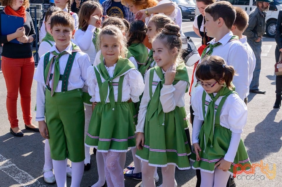 Spectacol de tradiţii folclorice, Oradea