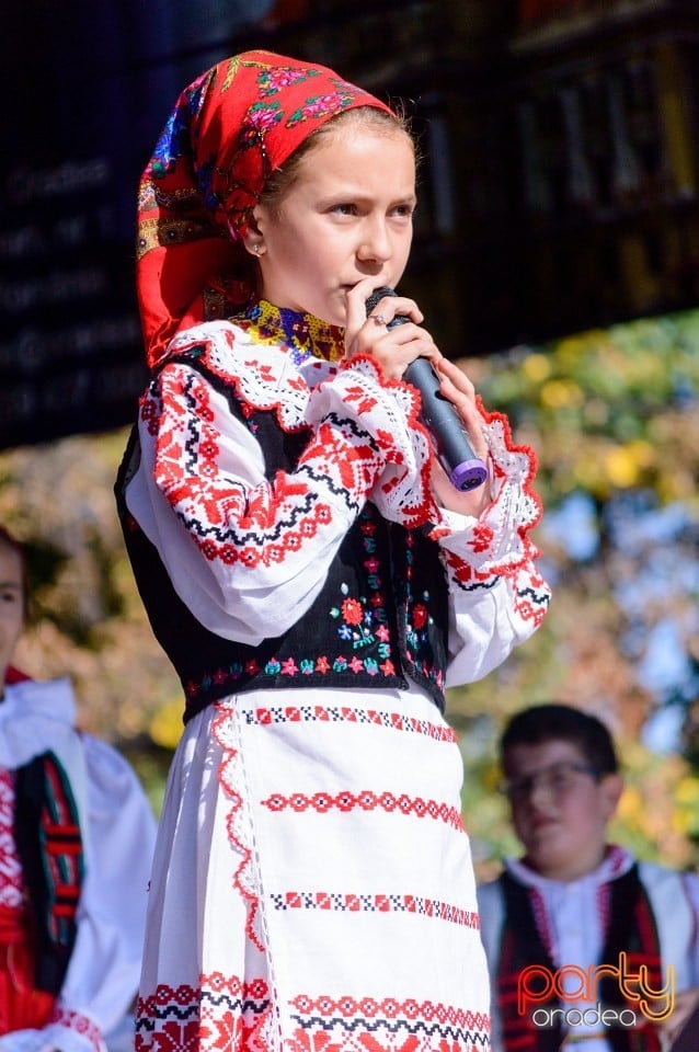 Spectacol de tradiţii folclorice, Oradea