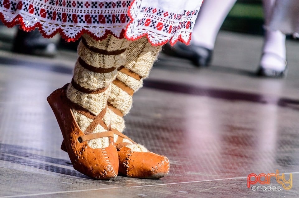 Spectacol de tradiţii folclorice, Oradea