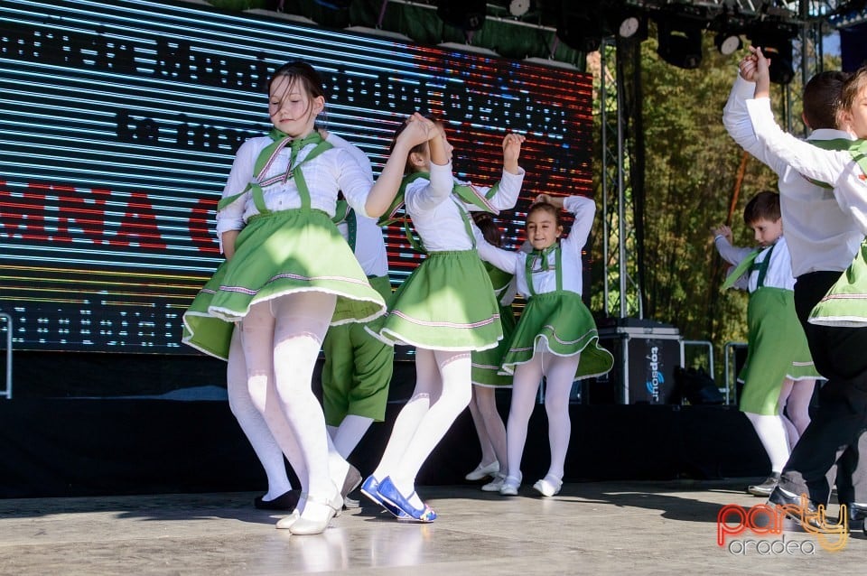 Spectacol de tradiţii folclorice, Oradea