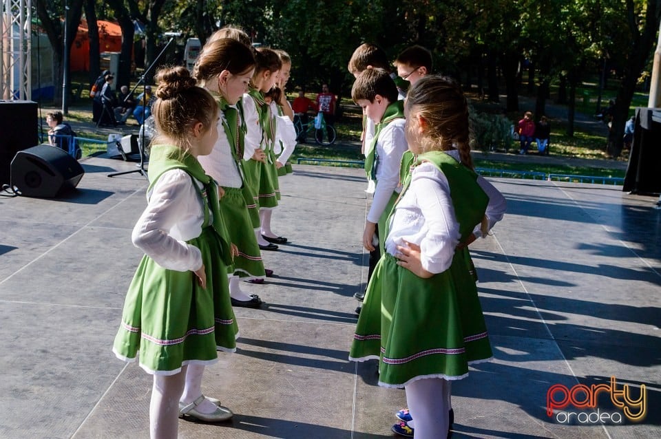 Spectacol de tradiţii folclorice, Oradea