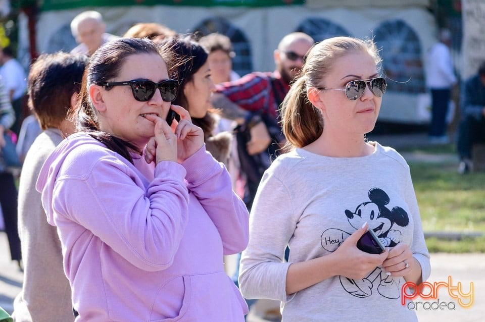 Spectacol de tradiţii folclorice, Oradea