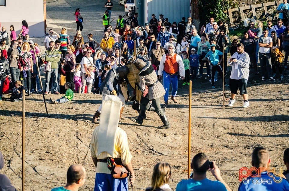 Spectacol demonstrativ de lupte medievale, Cetatea Oradea