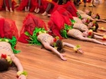 Spectacol Meda Music & Fit Dance