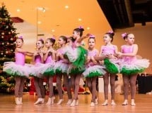 Spectacol Meda Music & Fit Dance