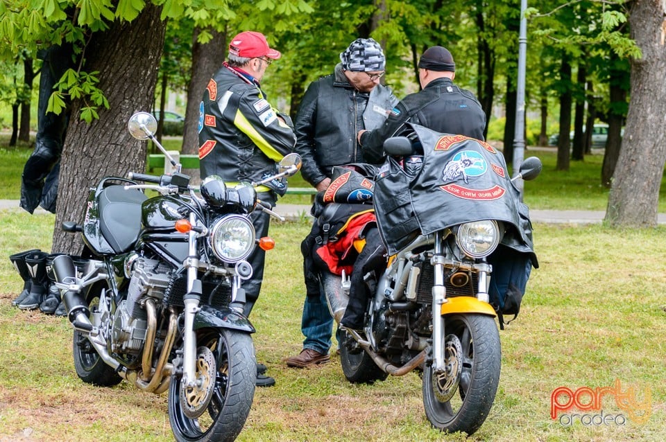 Sports Charity Day, Oradea