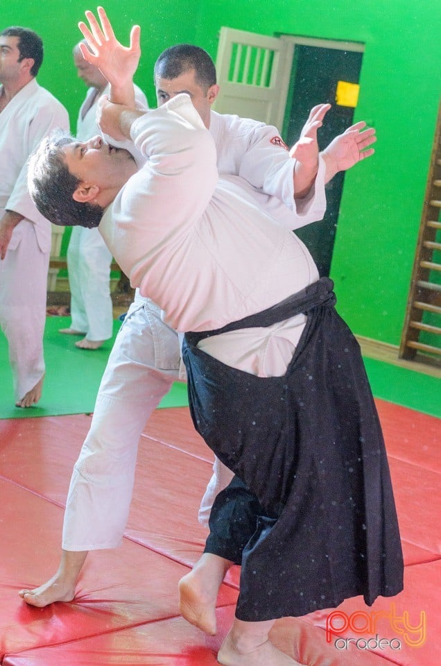 Stagiu Aikido, Oradea