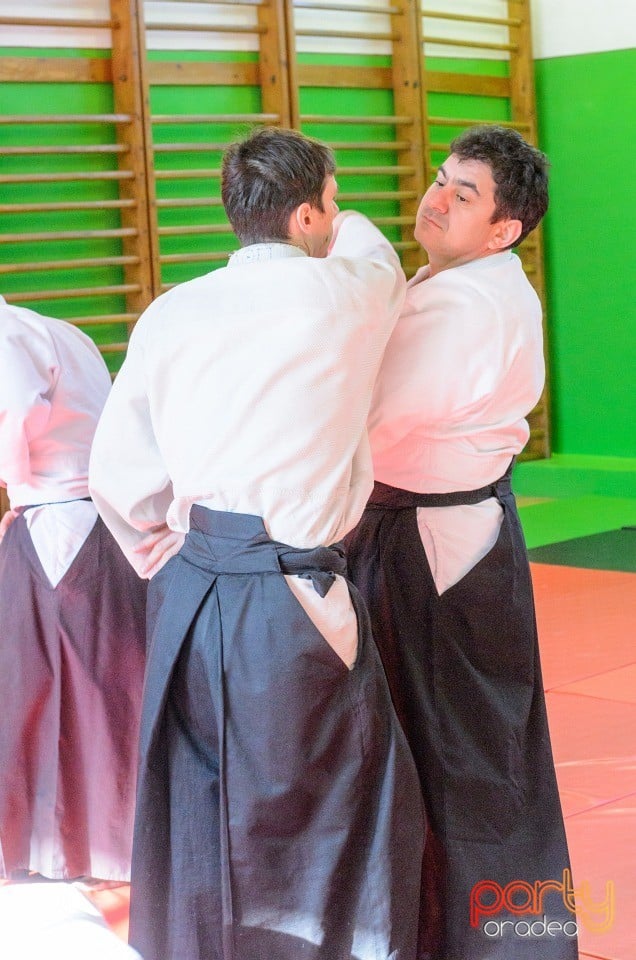 Stagiu Aikido, Oradea