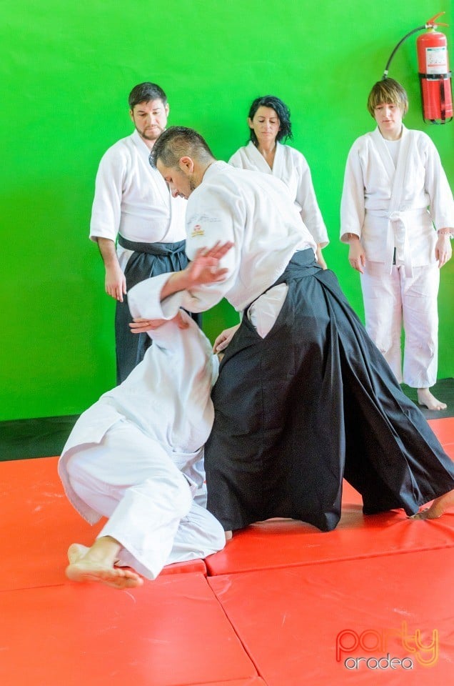 Stagiu Aikido, Oradea