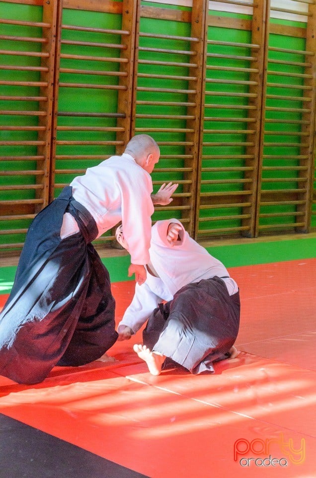 Stagiu Aikido, Oradea