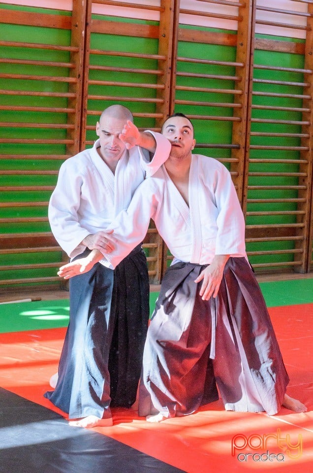 Stagiu Aikido, Oradea