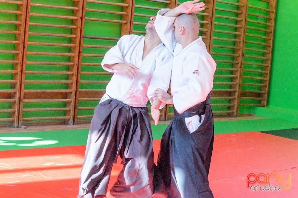 Stagiu Aikido, Oradea