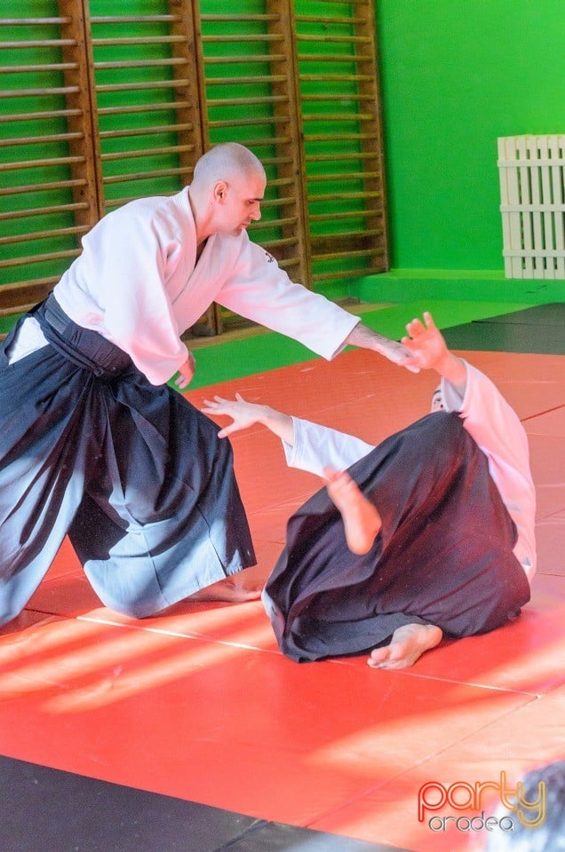 Stagiu Aikido, Oradea