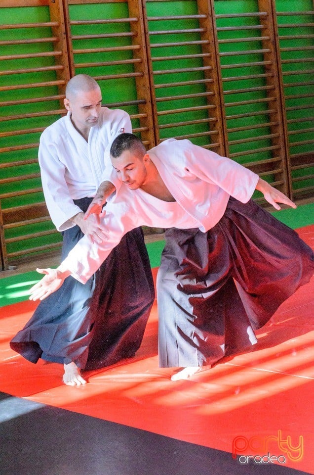 Stagiu Aikido, Oradea