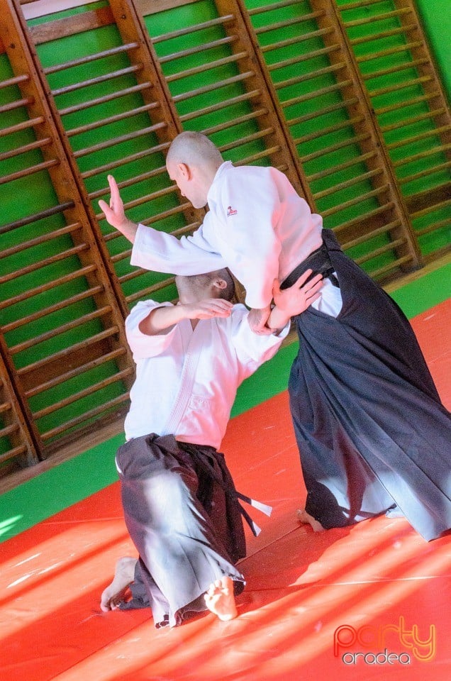 Stagiu Aikido, Oradea