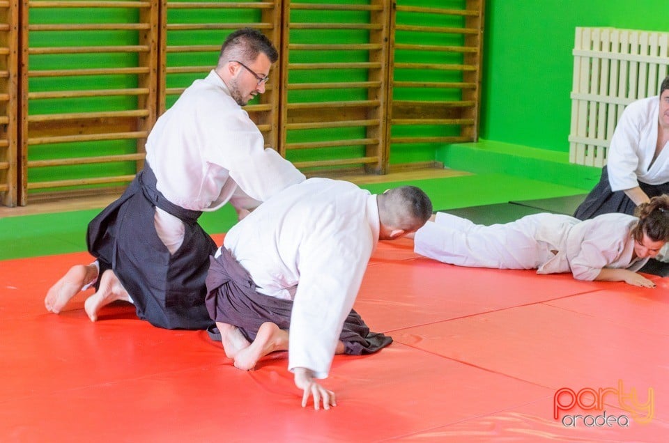 Stagiu Aikido, Oradea