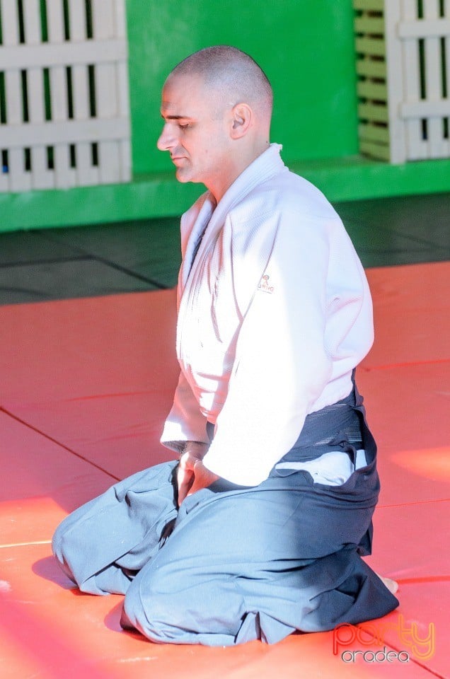 Stagiu Aikido, Oradea