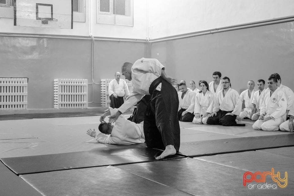 Stagiu Aikido, Oradea