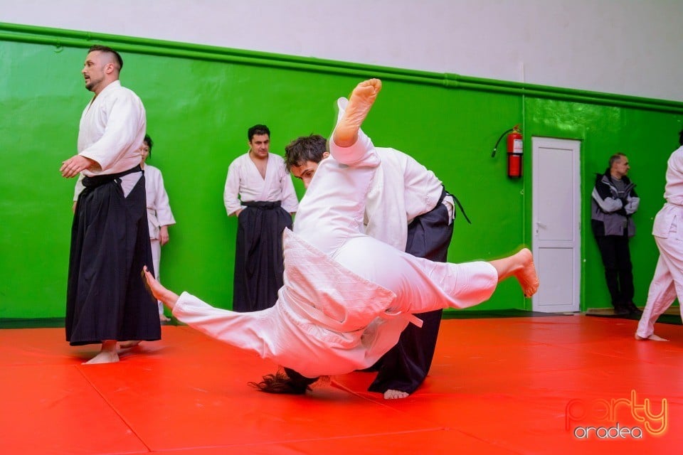 Stagiu Aikido, Oradea