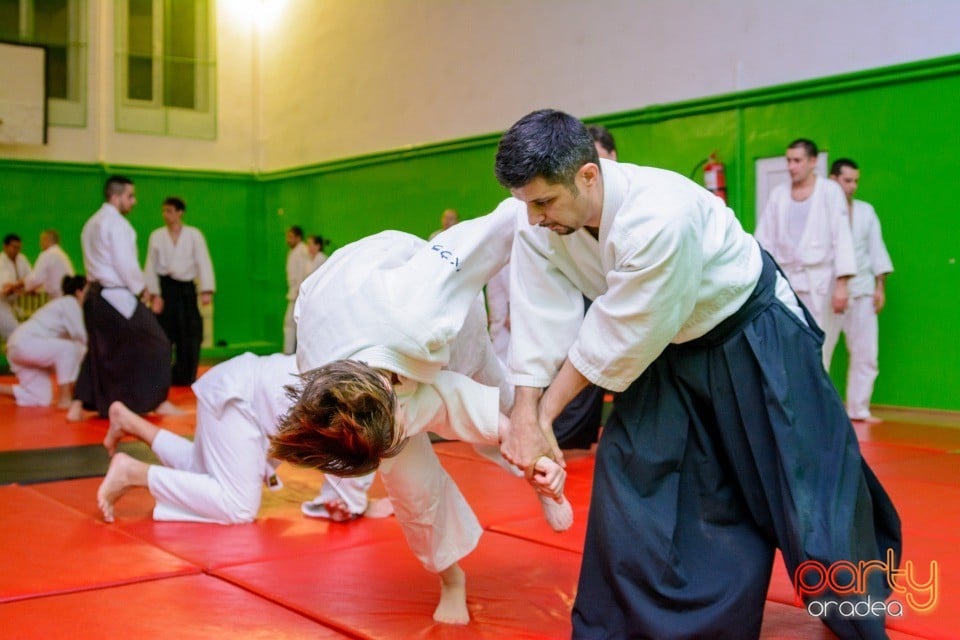 Stagiu Aikido, Oradea