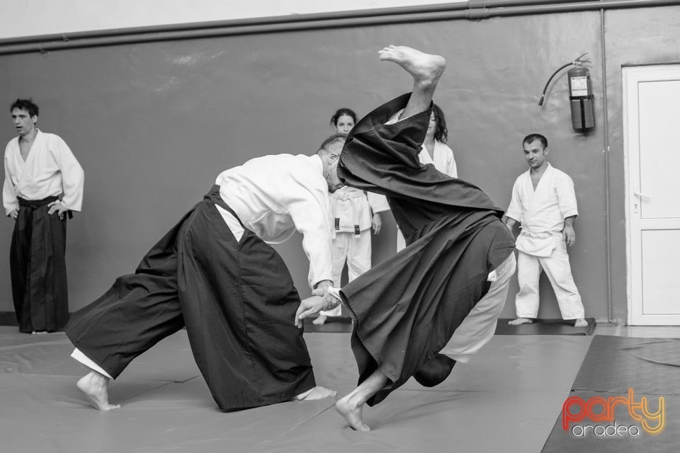 Stagiu Aikido, Oradea