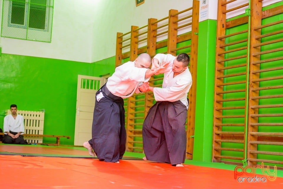 Stagiu Aikido, Oradea