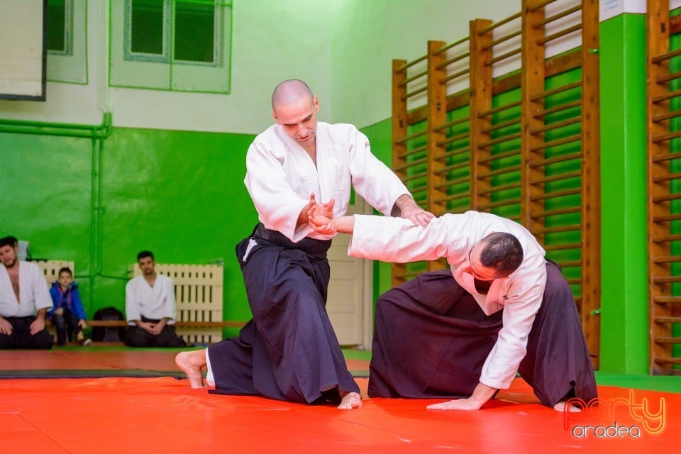 Stagiu Aikido, Oradea