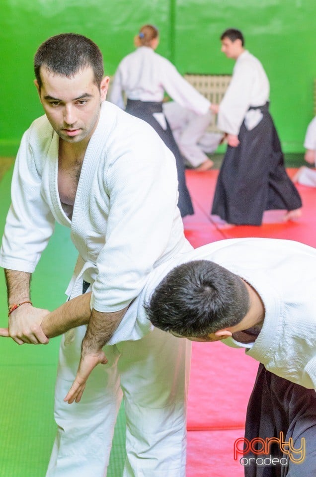 Stagiu Aikido, Oradea