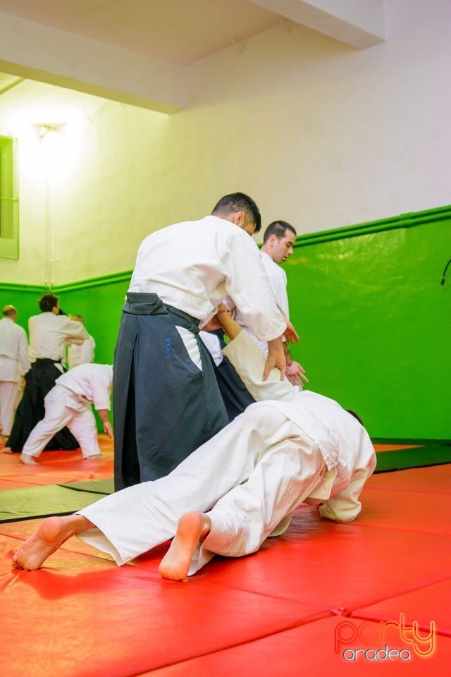 Stagiu Aikido, Oradea