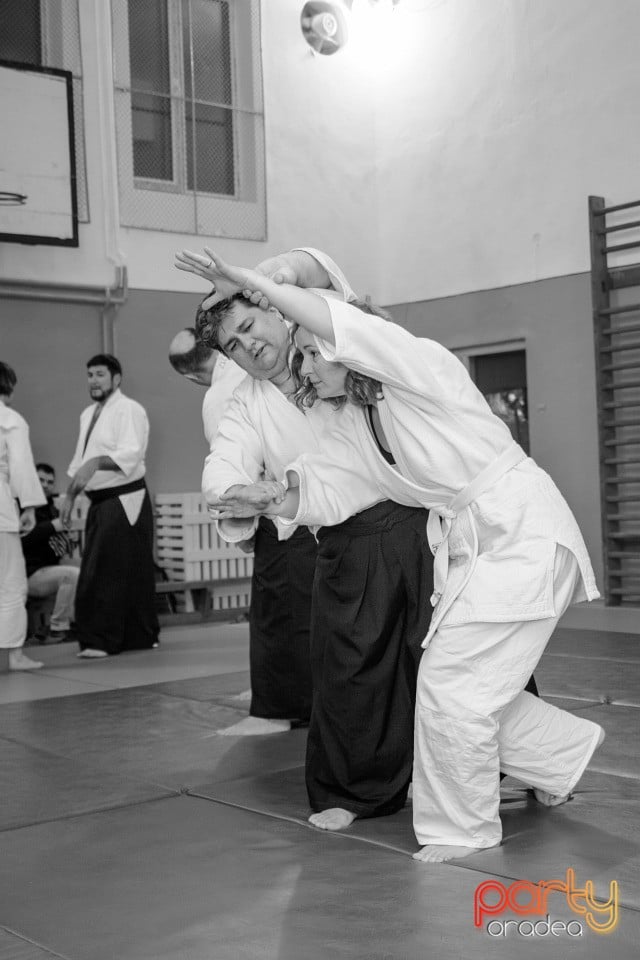 Stagiu Aikido, Oradea