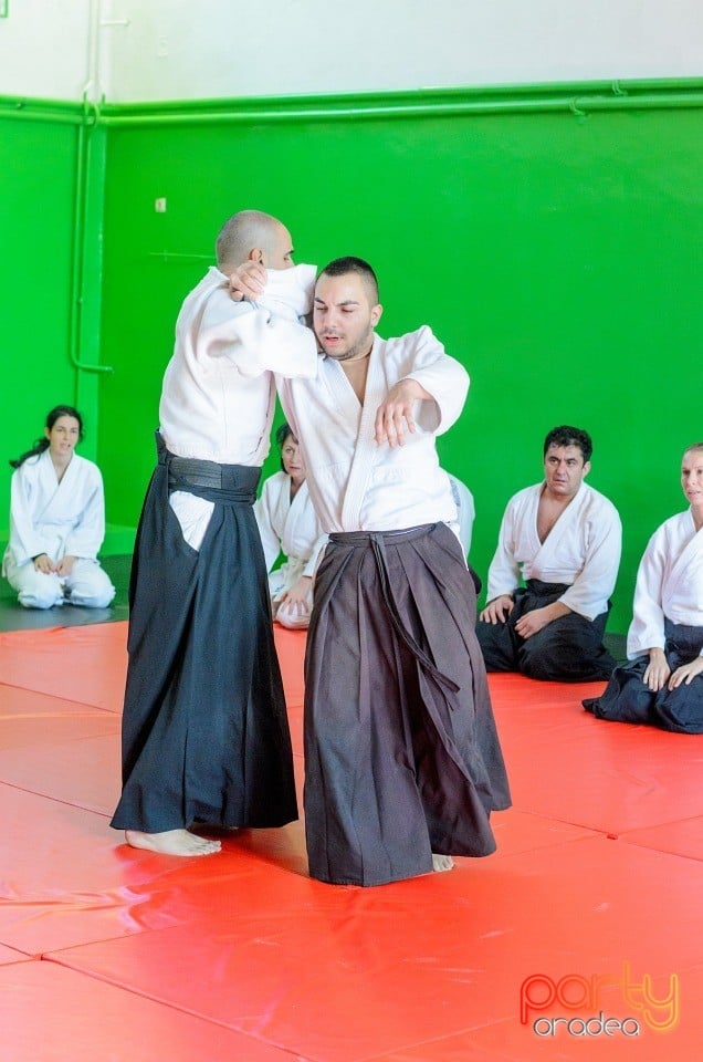 Stagiu Aikido, Oradea