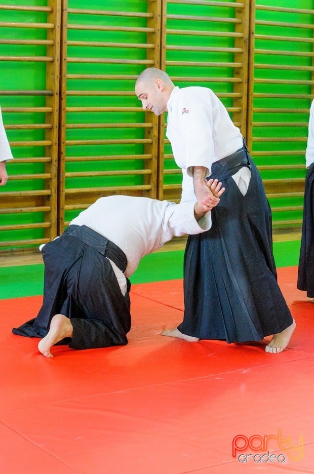 Stagiu Aikido, Oradea