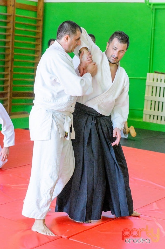 Stagiu Aikido, Oradea