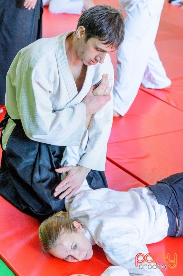 Stagiu Aikido, Oradea