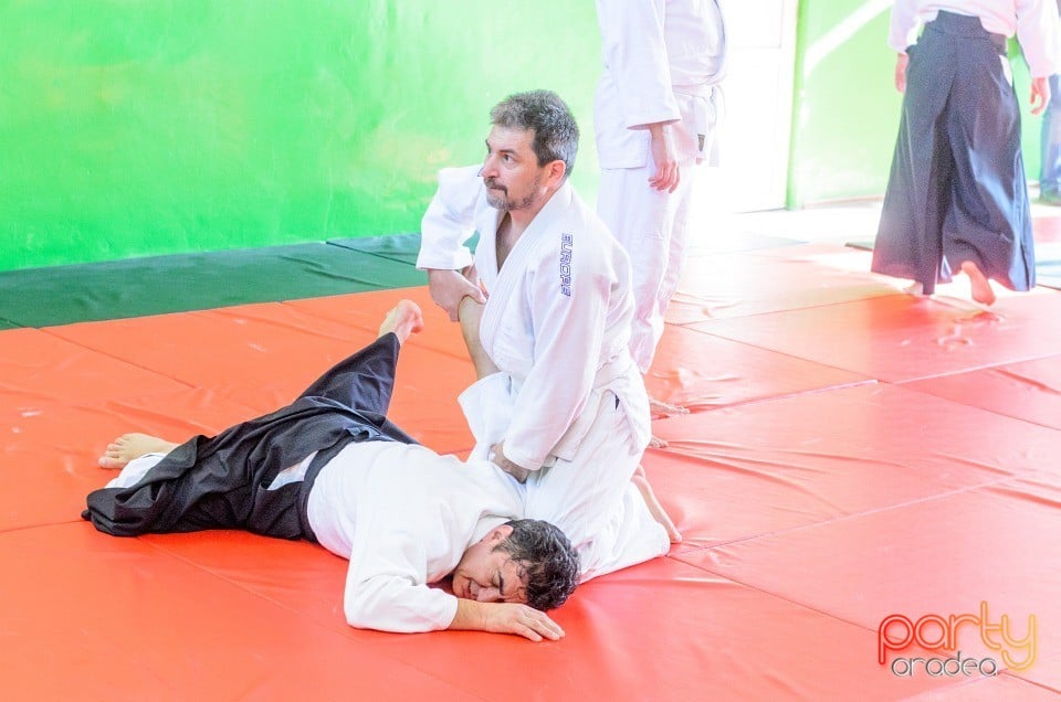 Stagiu Aikido, Oradea