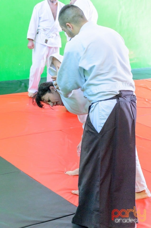 Stagiu Aikido, Oradea