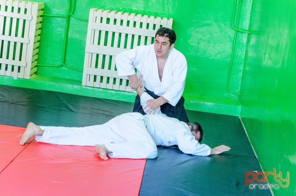 Stagiu Aikido, Oradea