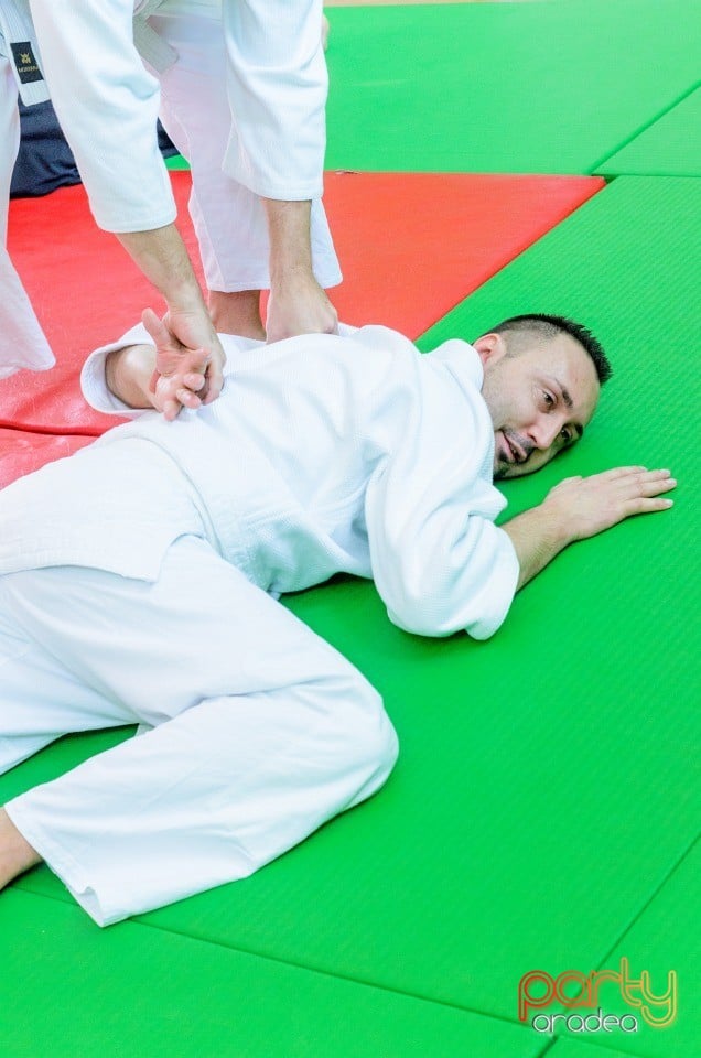 Stagiu Aikido, Oradea