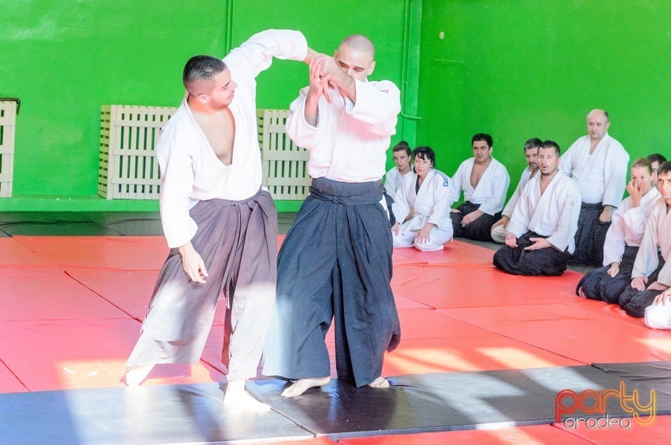 Stagiu Aikido, Oradea