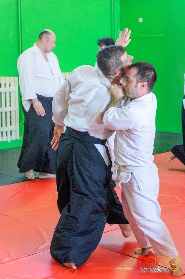 Stagiu Aikido, Oradea